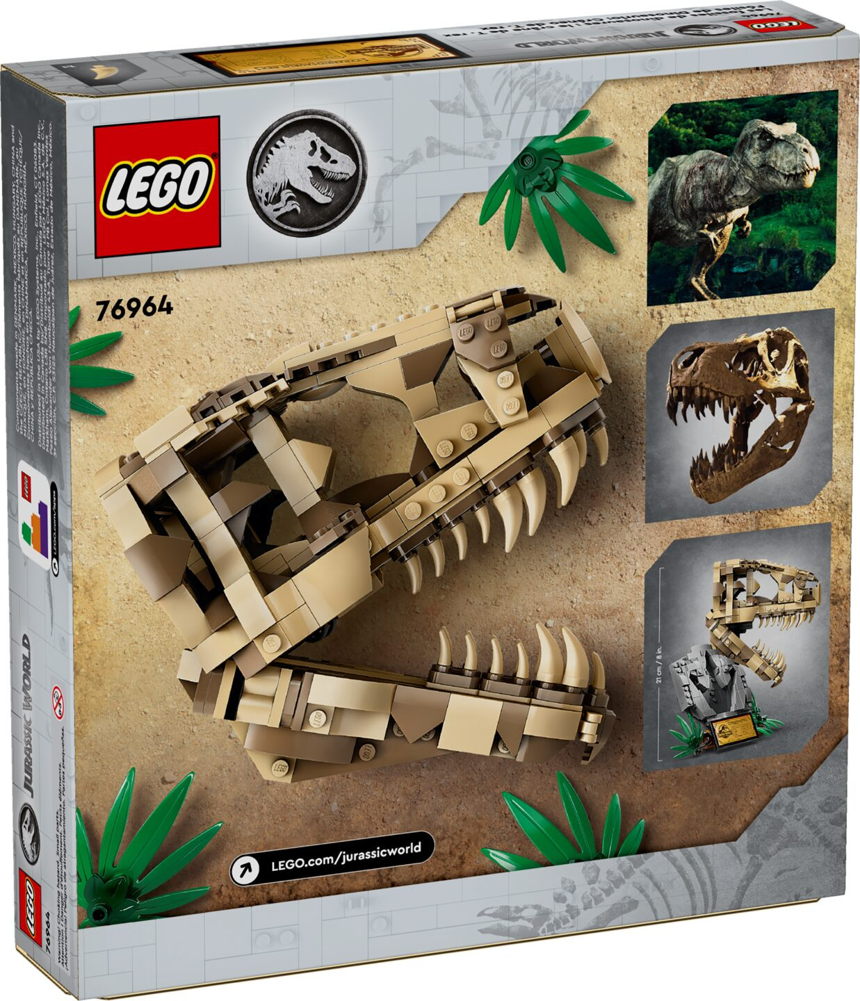 Dinosaurusfossielen: T. rex schedel — Afbeelding 6