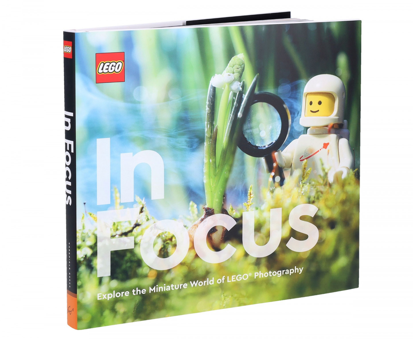 LEGO® In Focus