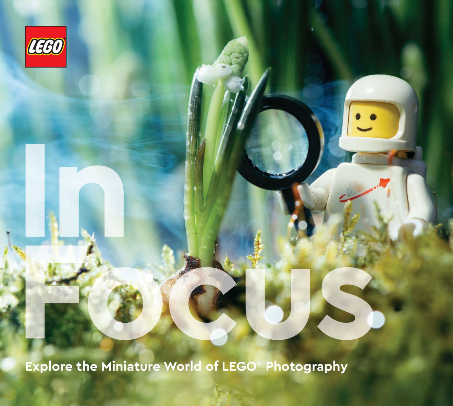 LEGO® In Focus — Afbeelding 2