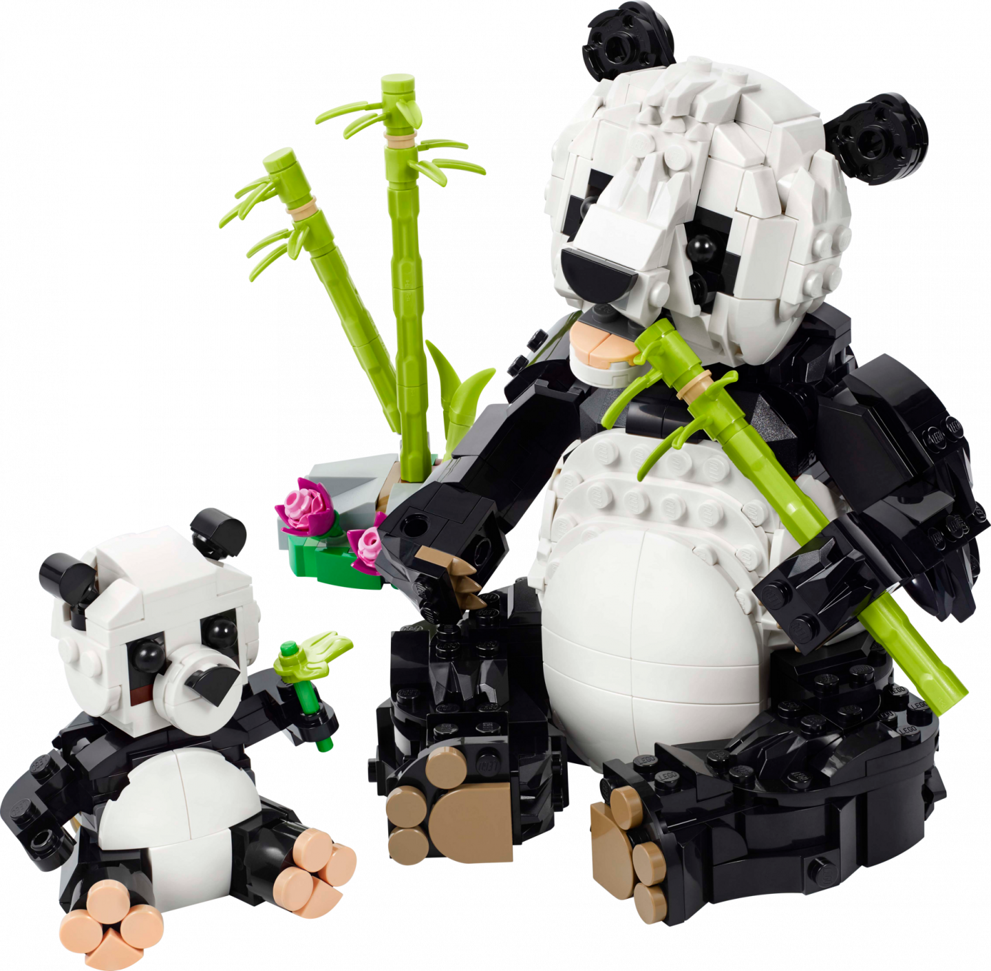 Wilde dieren: pandafamilie