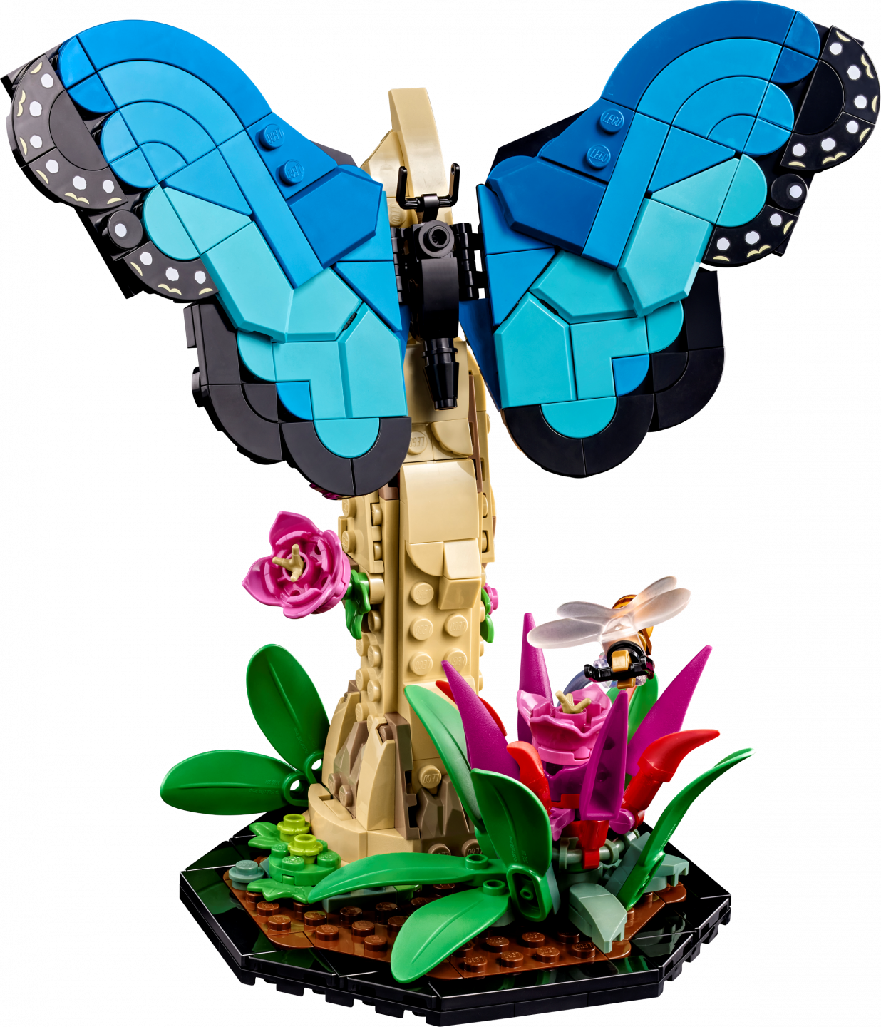 De insectencollectie — Afbeelding 3
