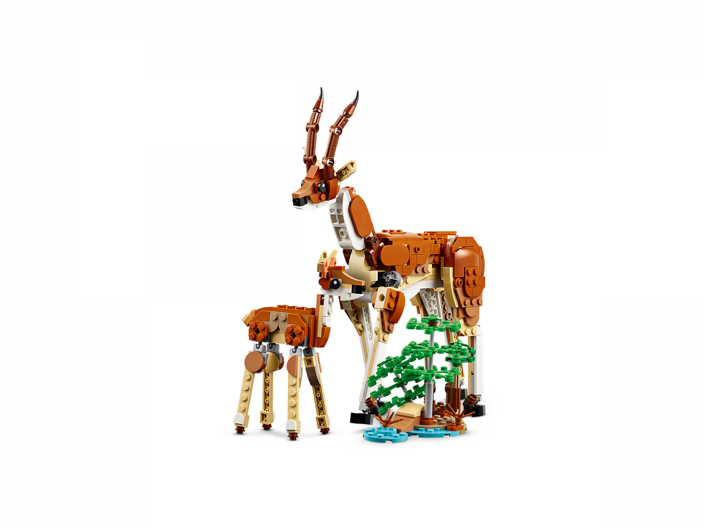 Safaridieren — Afbeelding 7