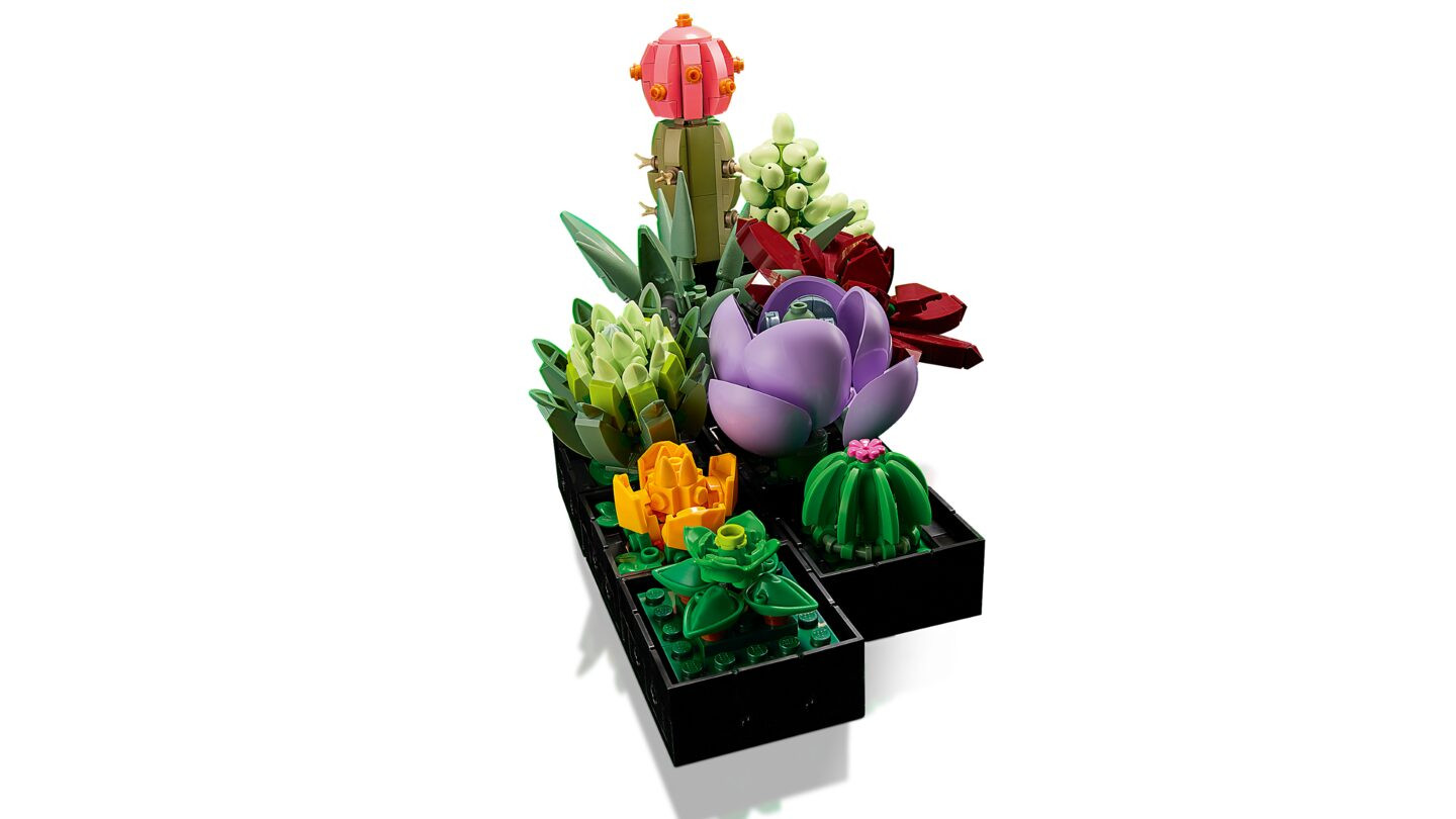 Vetplanten — Afbeelding 4