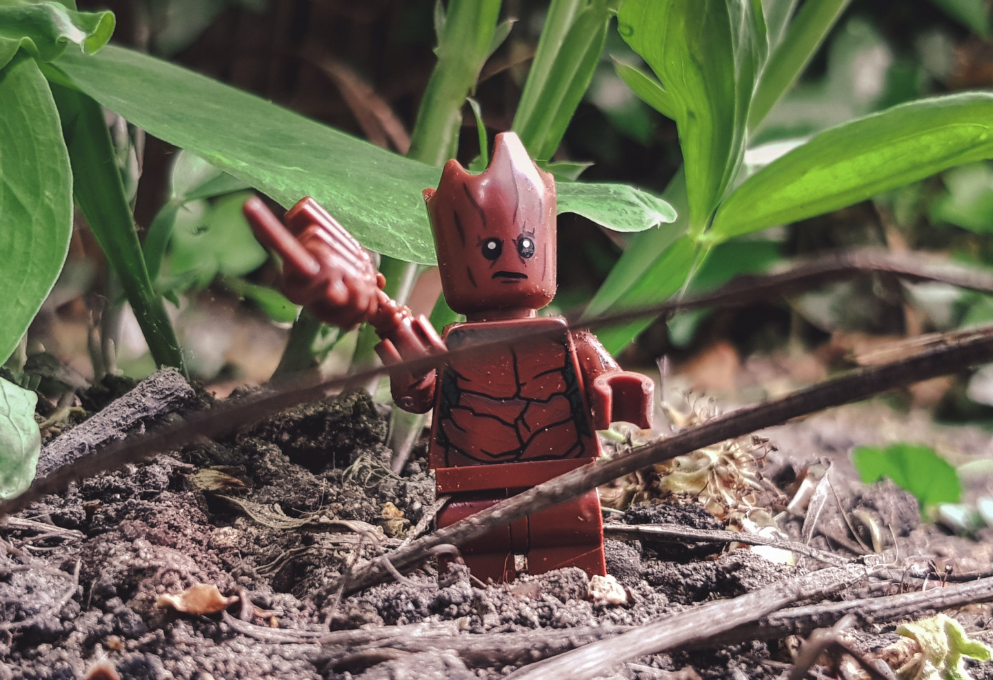 LEGO groot