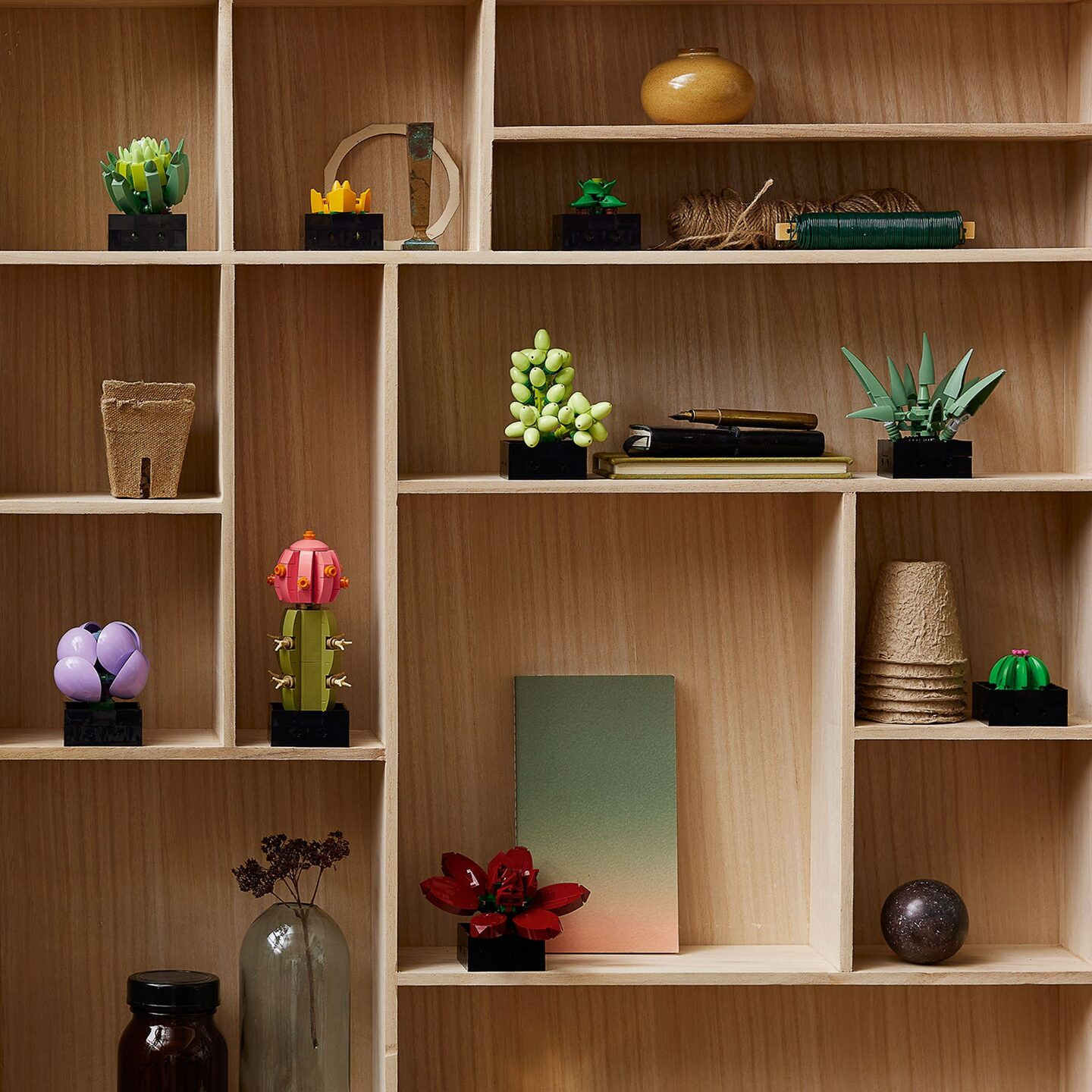 Vetplanten — Afbeelding 10