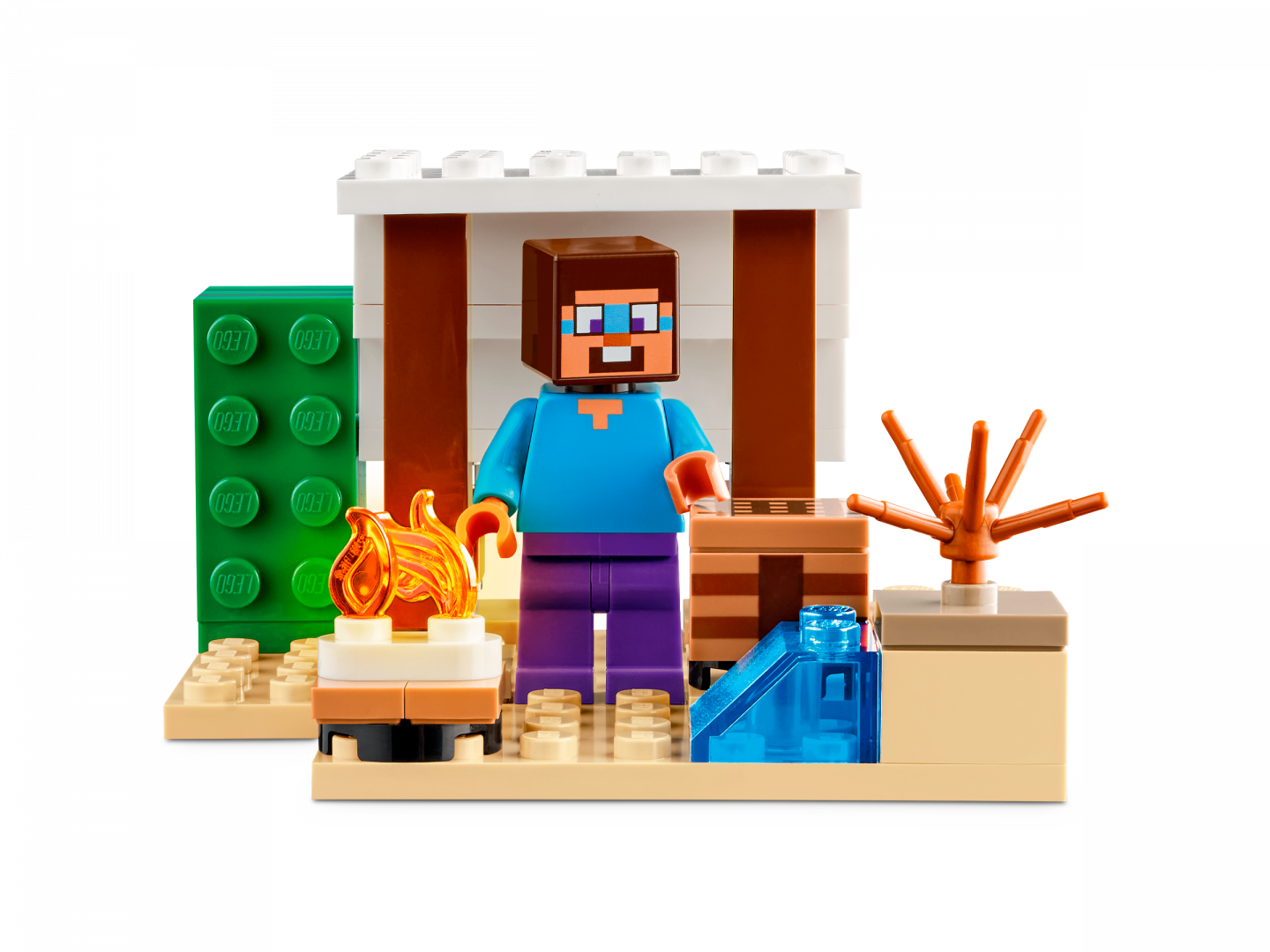 Steve's woestijnexpeditie — Afbeelding 3