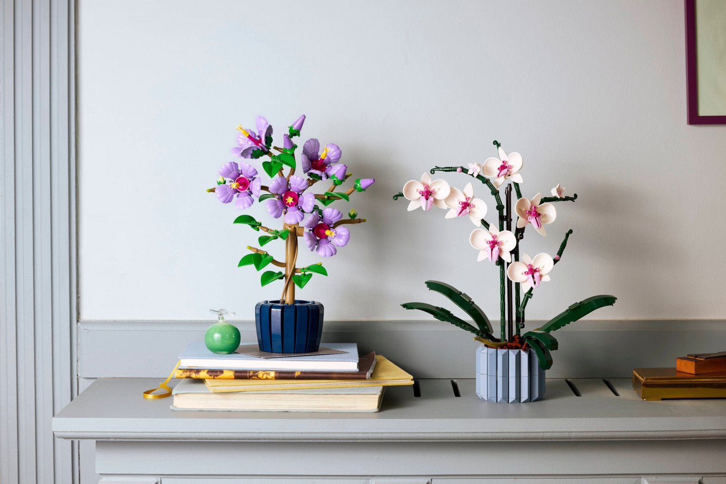 Hibiscus — Afbeelding 11
