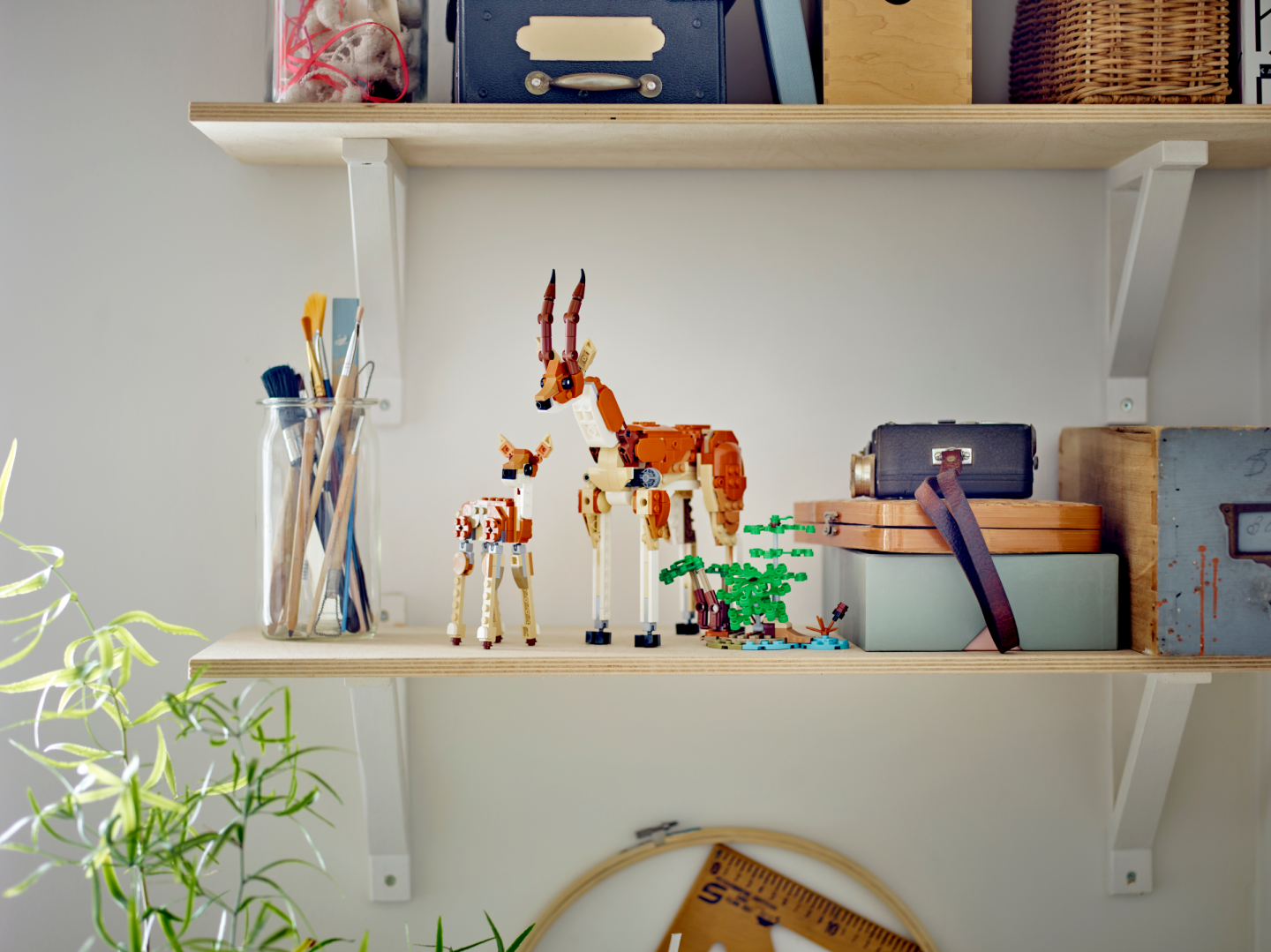 Safaridieren — Afbeelding 11