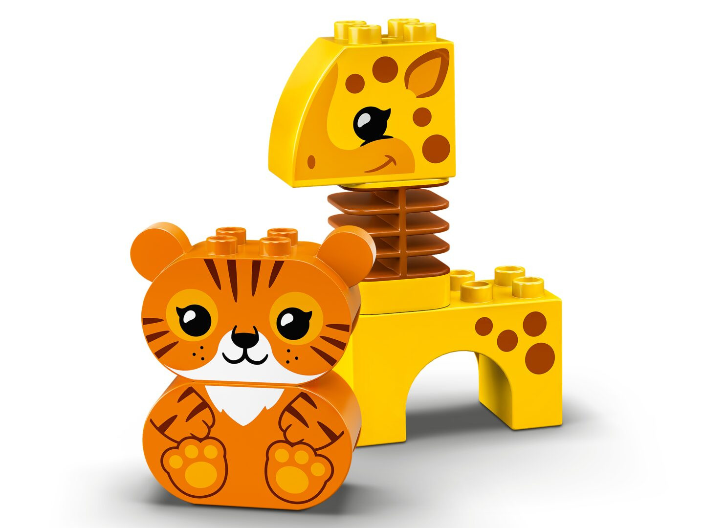 Dierentrein — Afbeelding 6