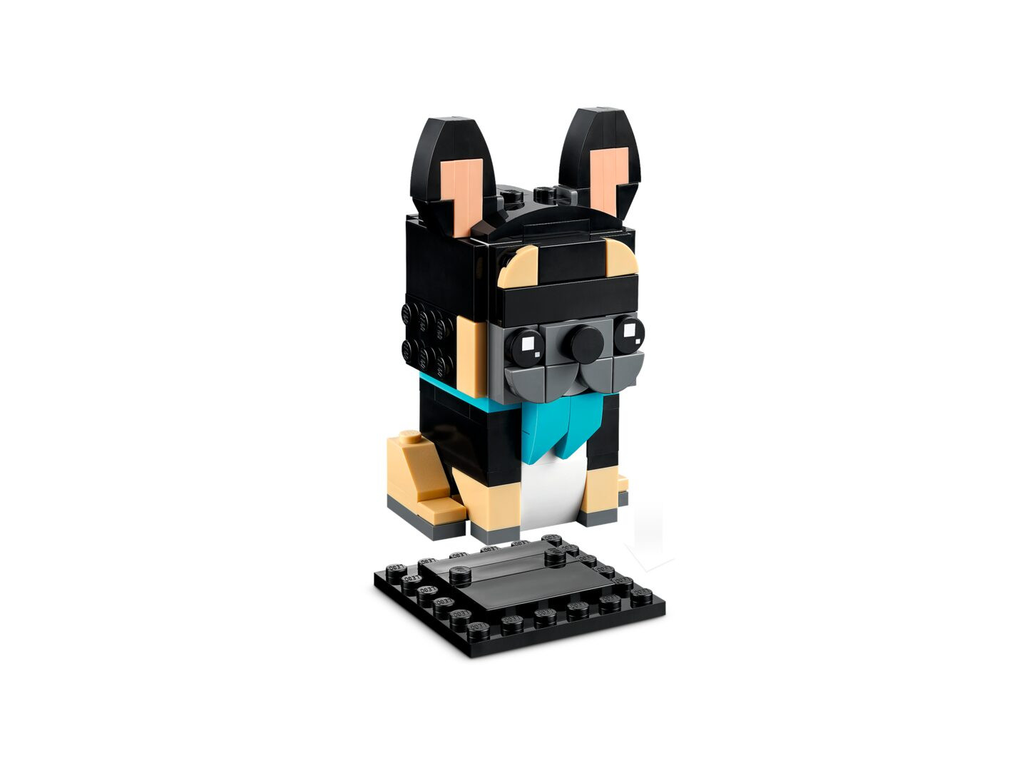 Franse buldog — Afbeelding 4