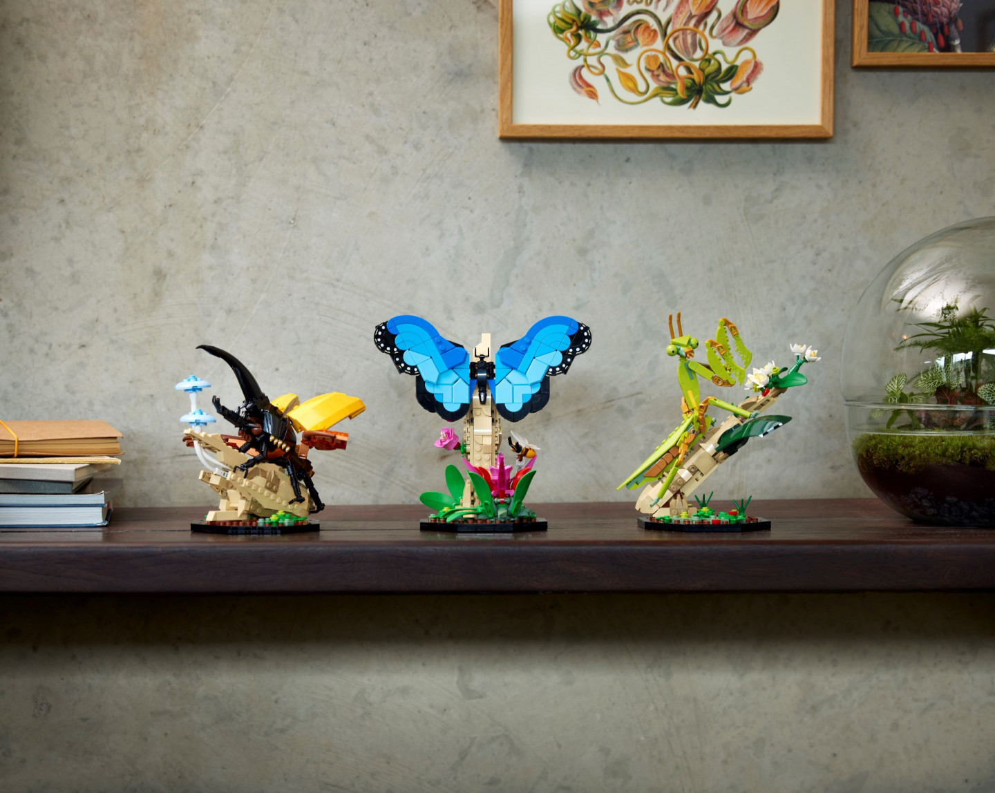De insectencollectie — Afbeelding 10