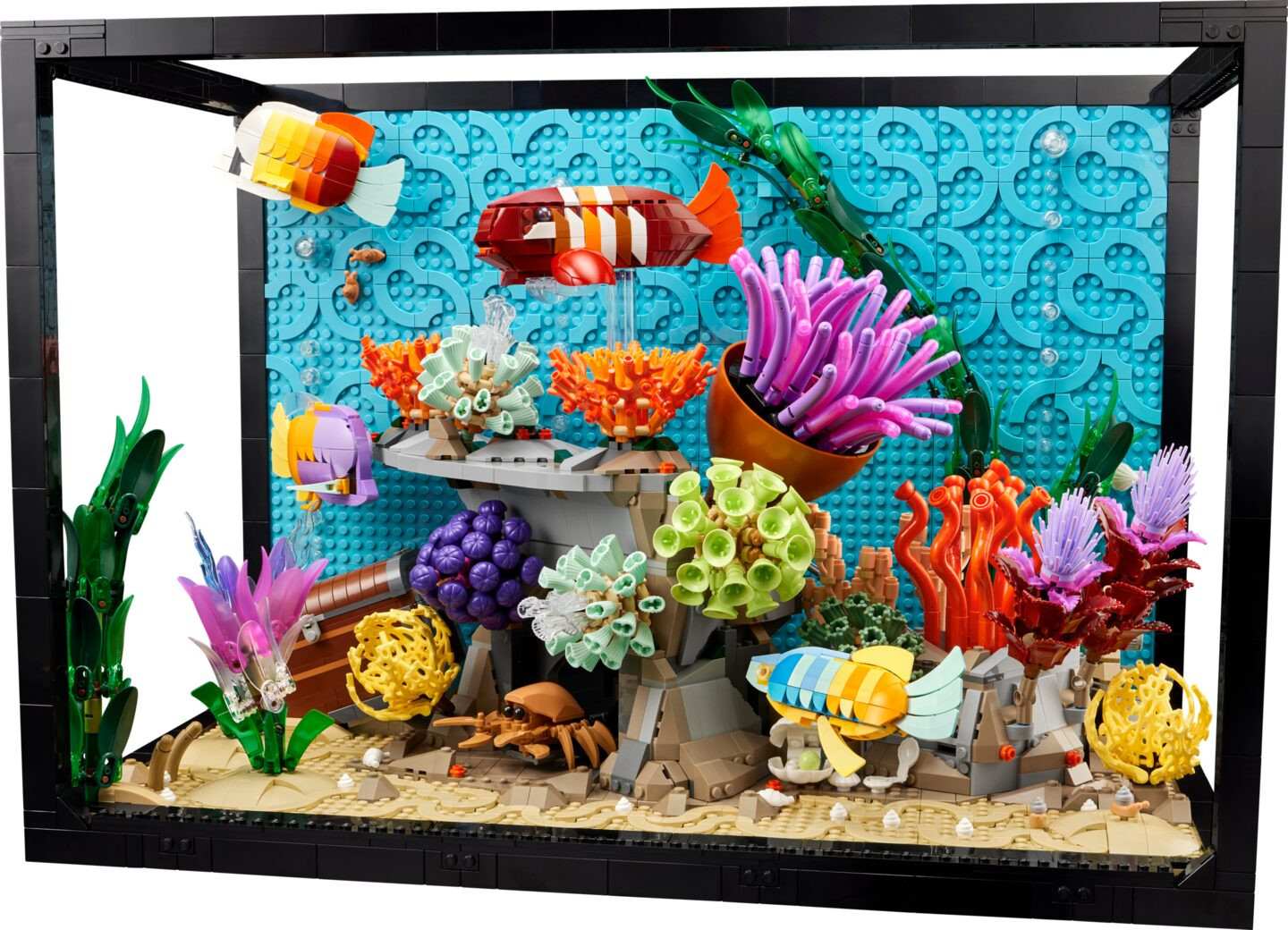 Tropical Aquarium — Image 1