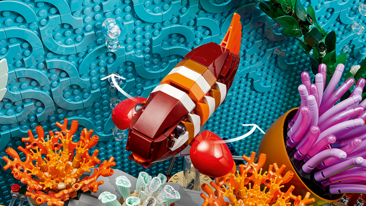 Tropisch aquarium — Afbeelding 7