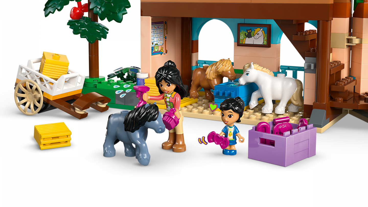 Ponyboerderij en stal — Afbeelding 3