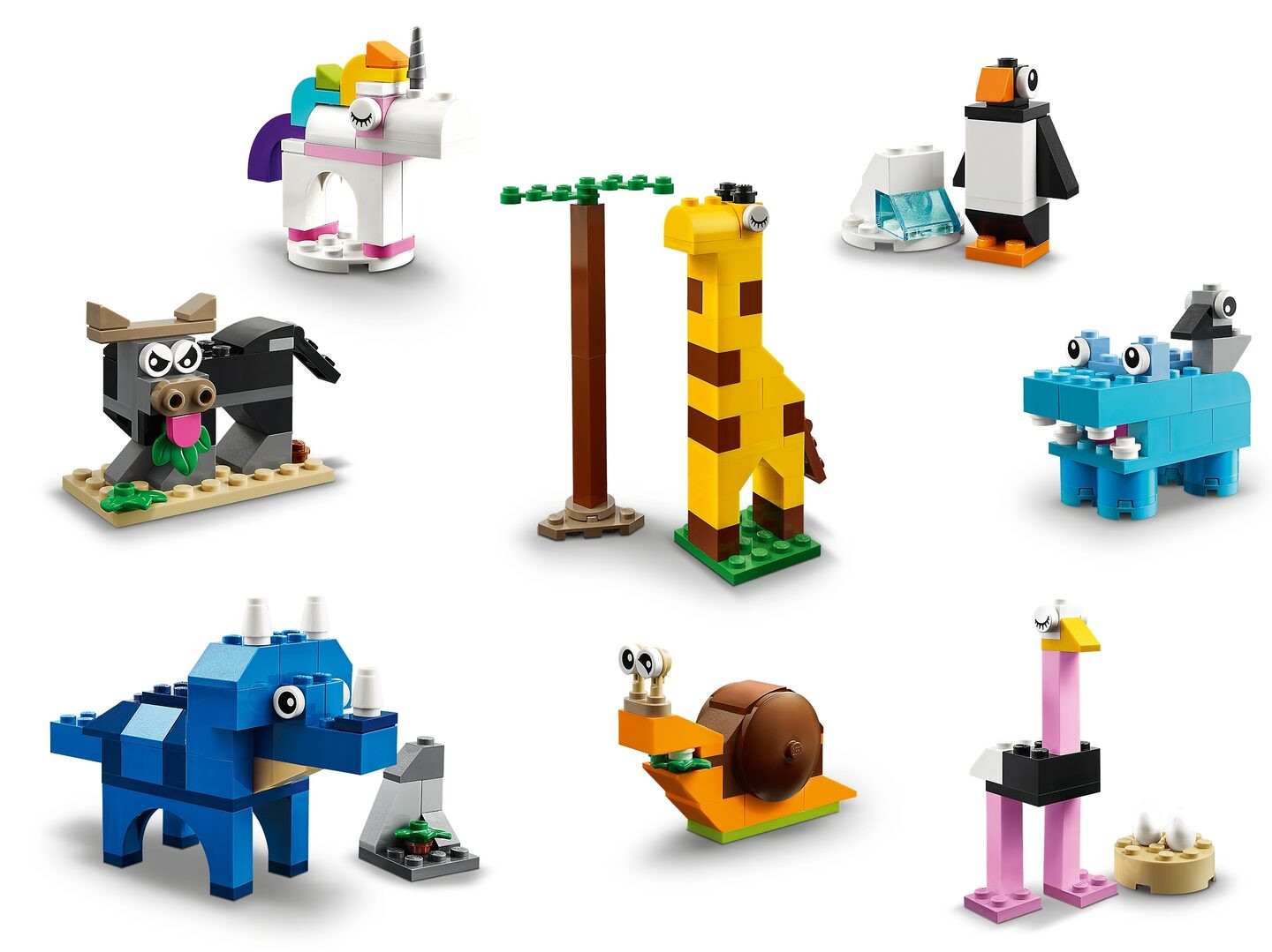 Stenen en dieren — Afbeelding 3