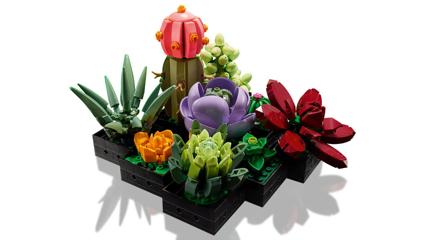 Vetplanten — Afbeelding 3