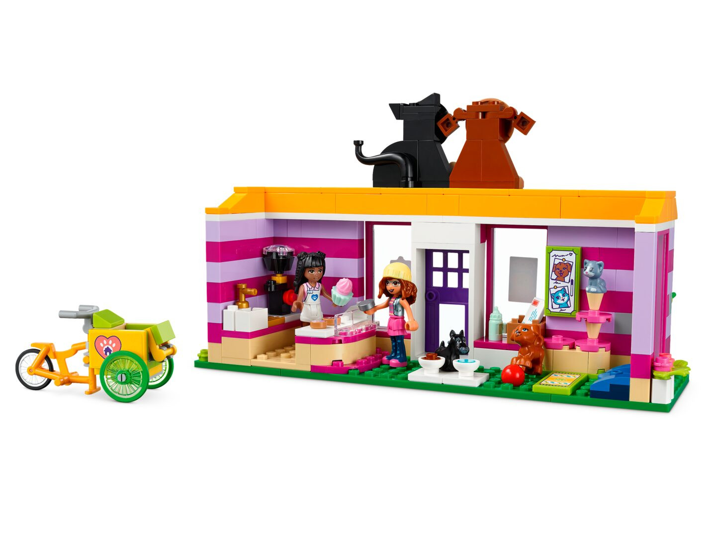 Huisdierenadoptie Café — Afbeelding 3