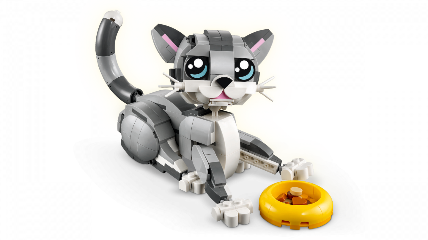 Speelse kat — Afbeelding 3