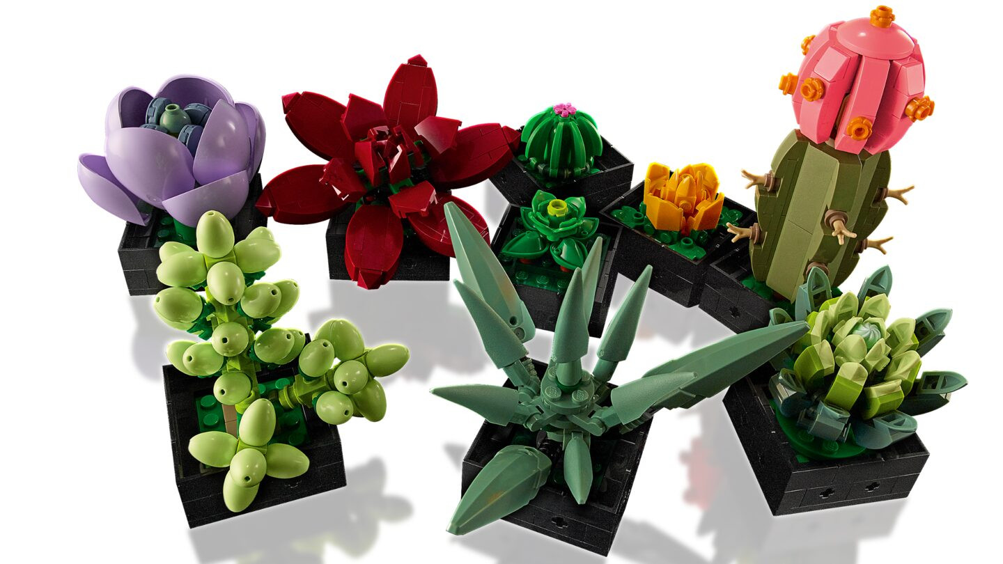 Vetplanten — Afbeelding 5