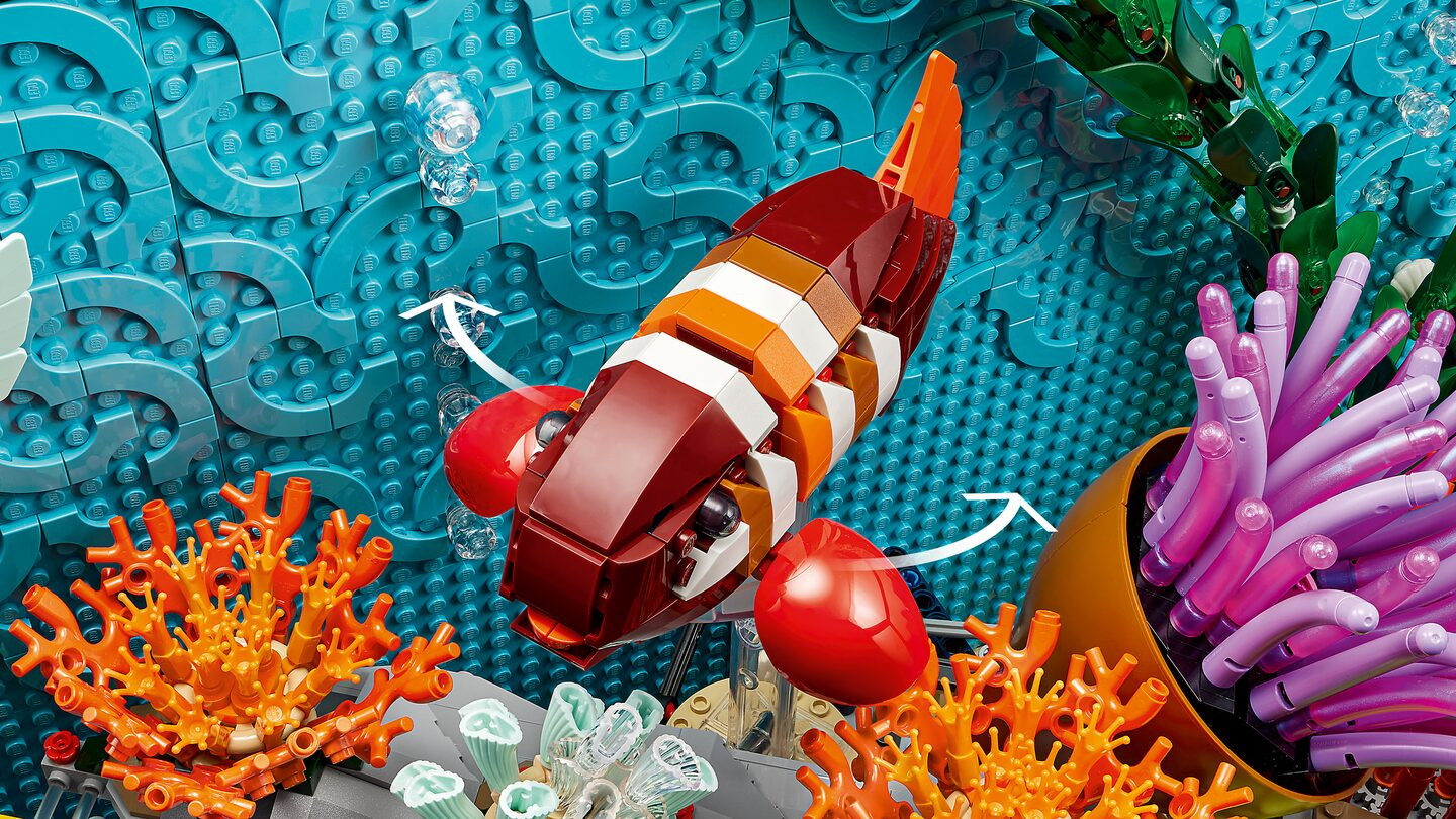 Tropical Aquarium — Image 7