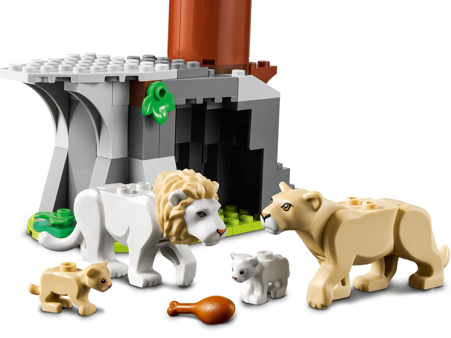 Wildlife Rescue kamp — Afbeelding 6