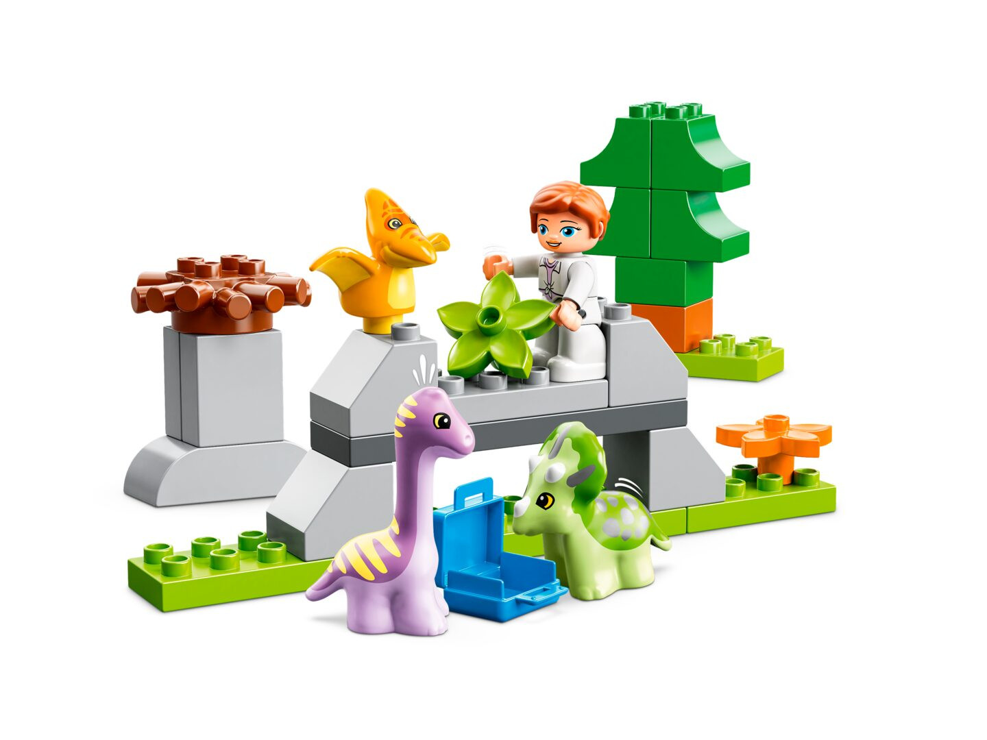 Dinosaurus crèche — Afbeelding 4