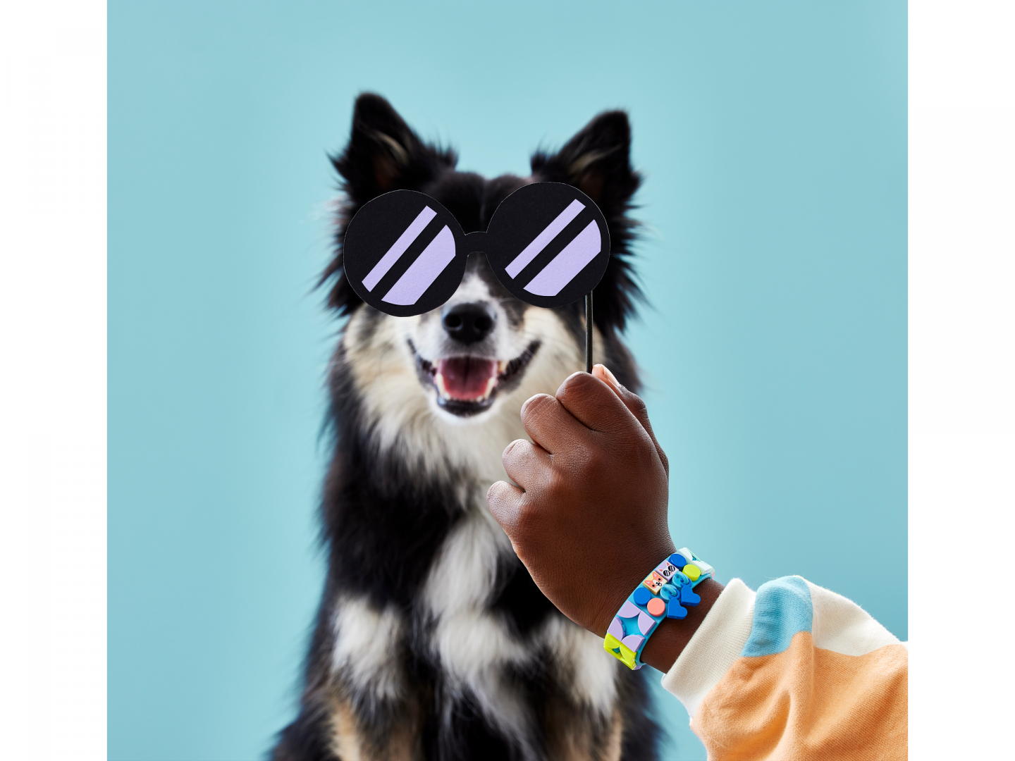 Armband - Mijn huisdieren — Afbeelding 6