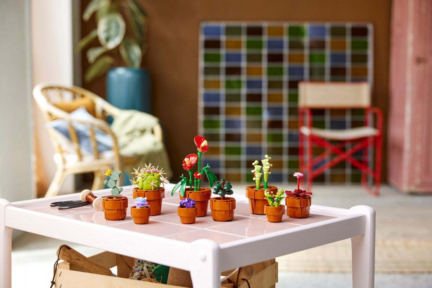 Miniplantjes — Afbeelding 8