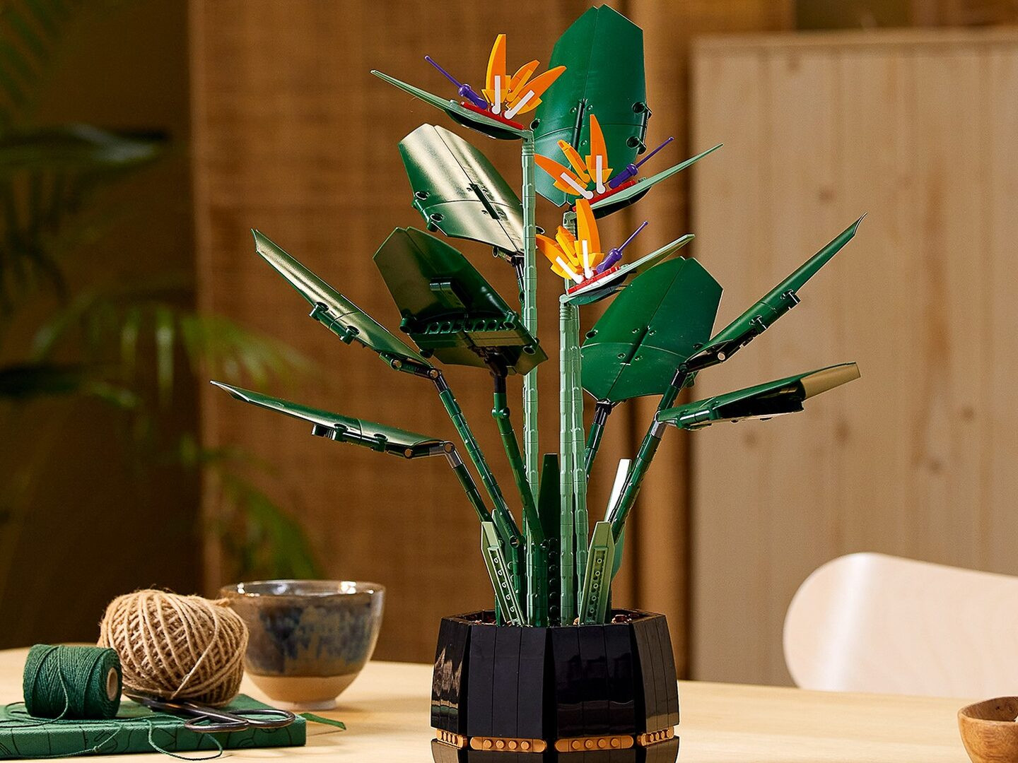 Paradijsvogelplant — Afbeelding 10