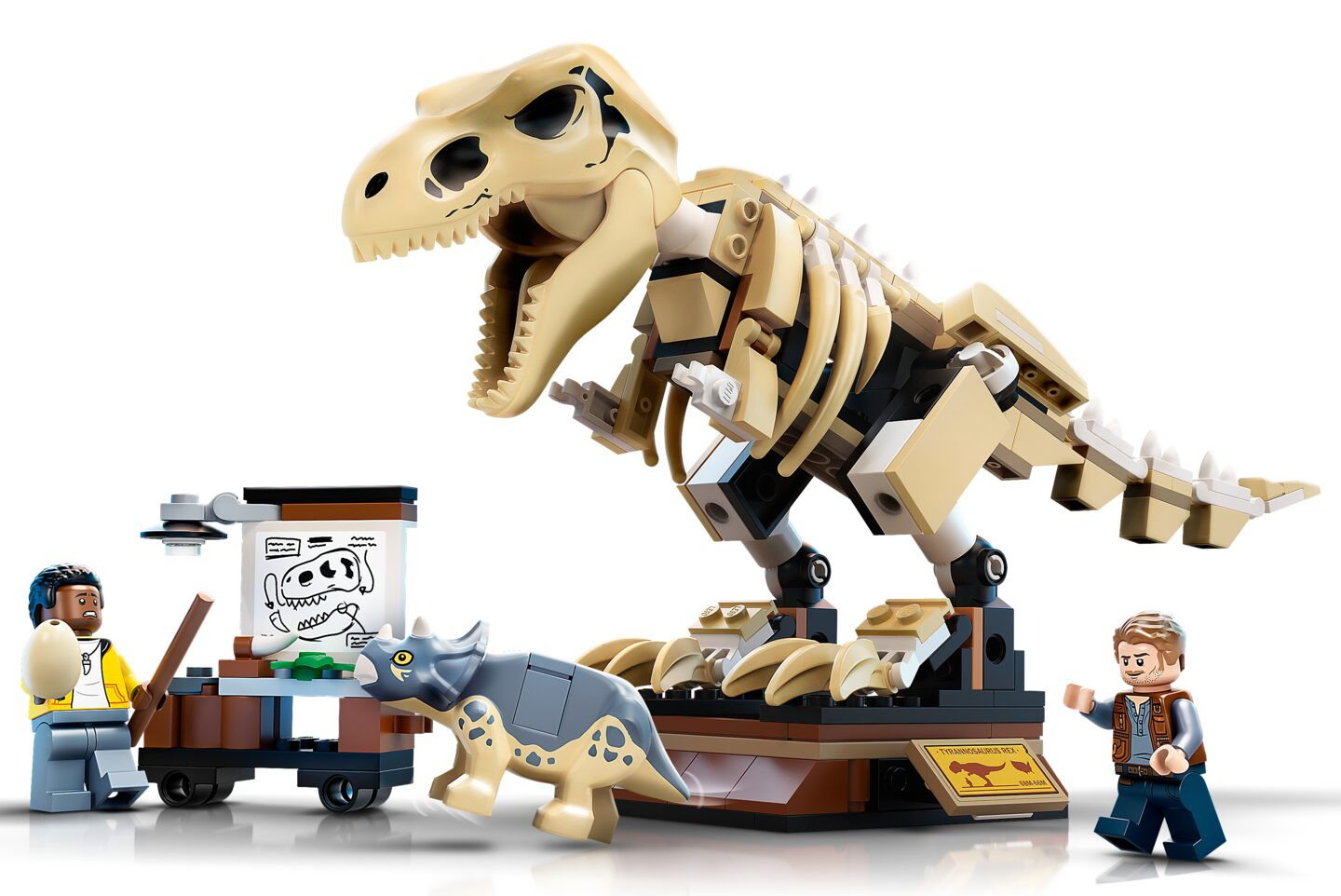 Tentoonstelling dinosaurusfossiel van T. rex — Afbeelding 4