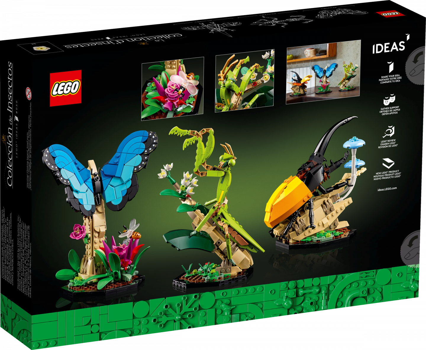 De insectencollectie — Afbeelding 7