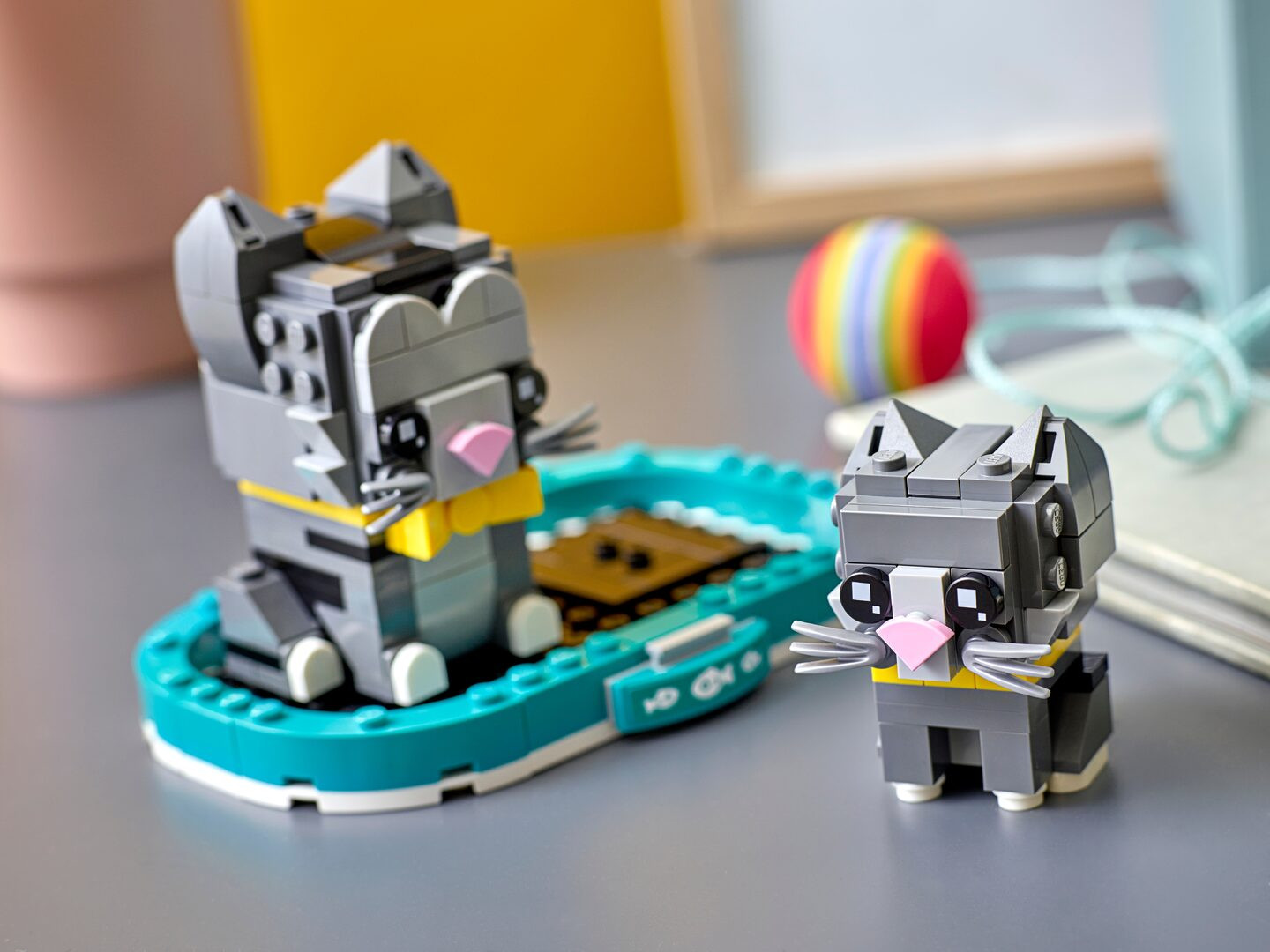 Kortharige katten — Afbeelding 5