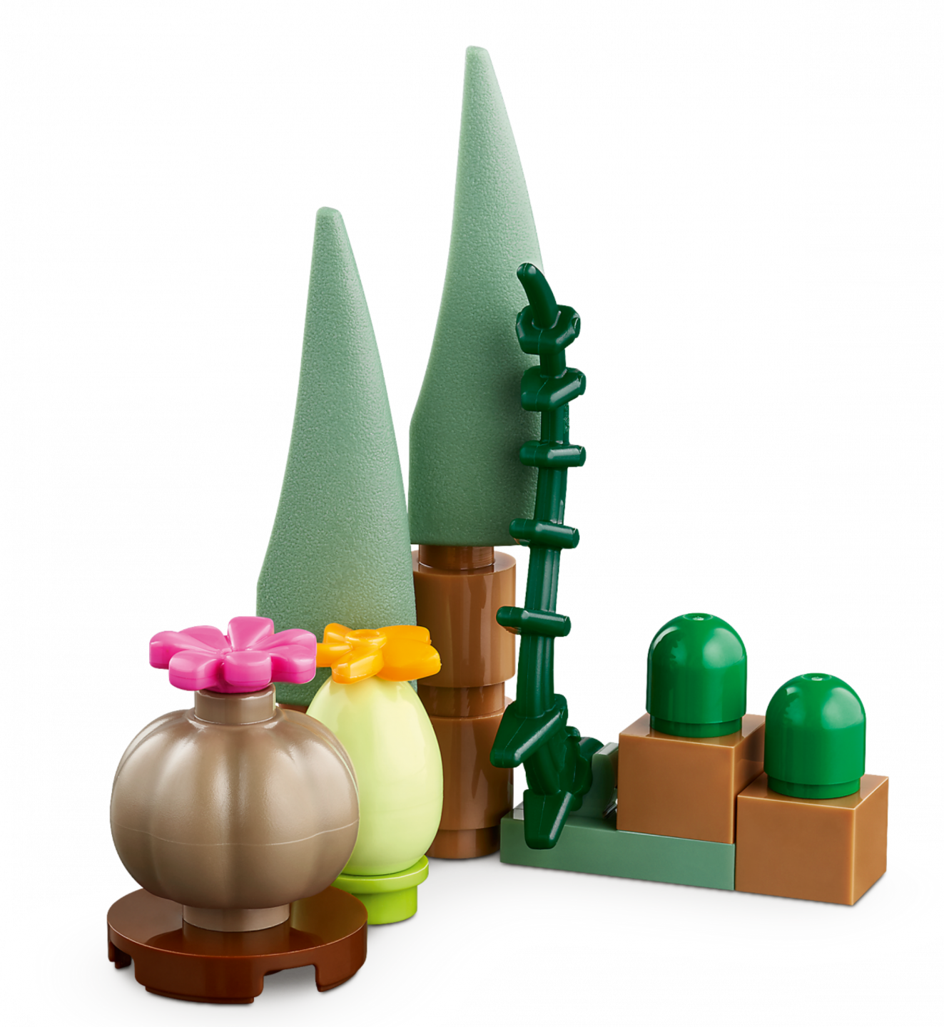 Botanische tuin — Afbeelding 5