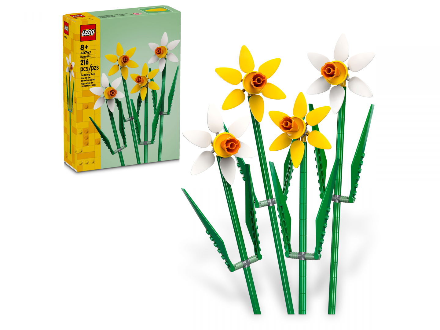 Narcissen — Afbeelding 2