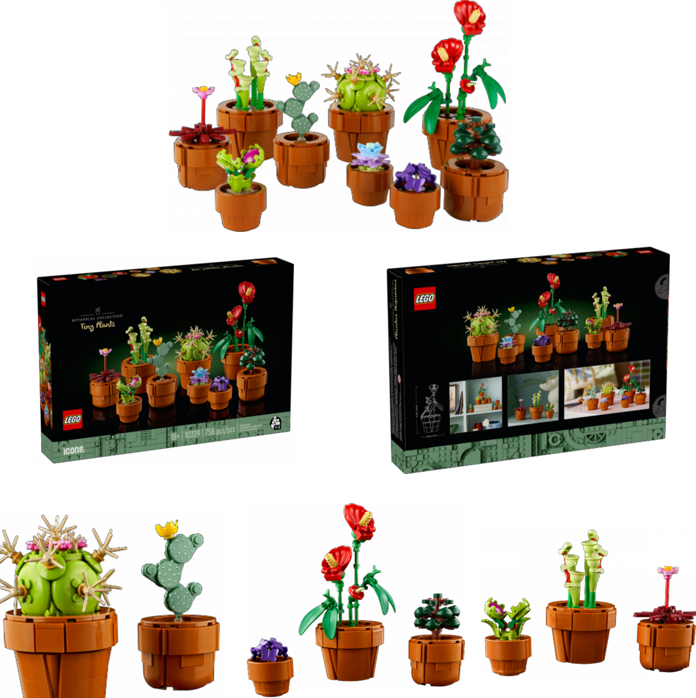 miniplantjes