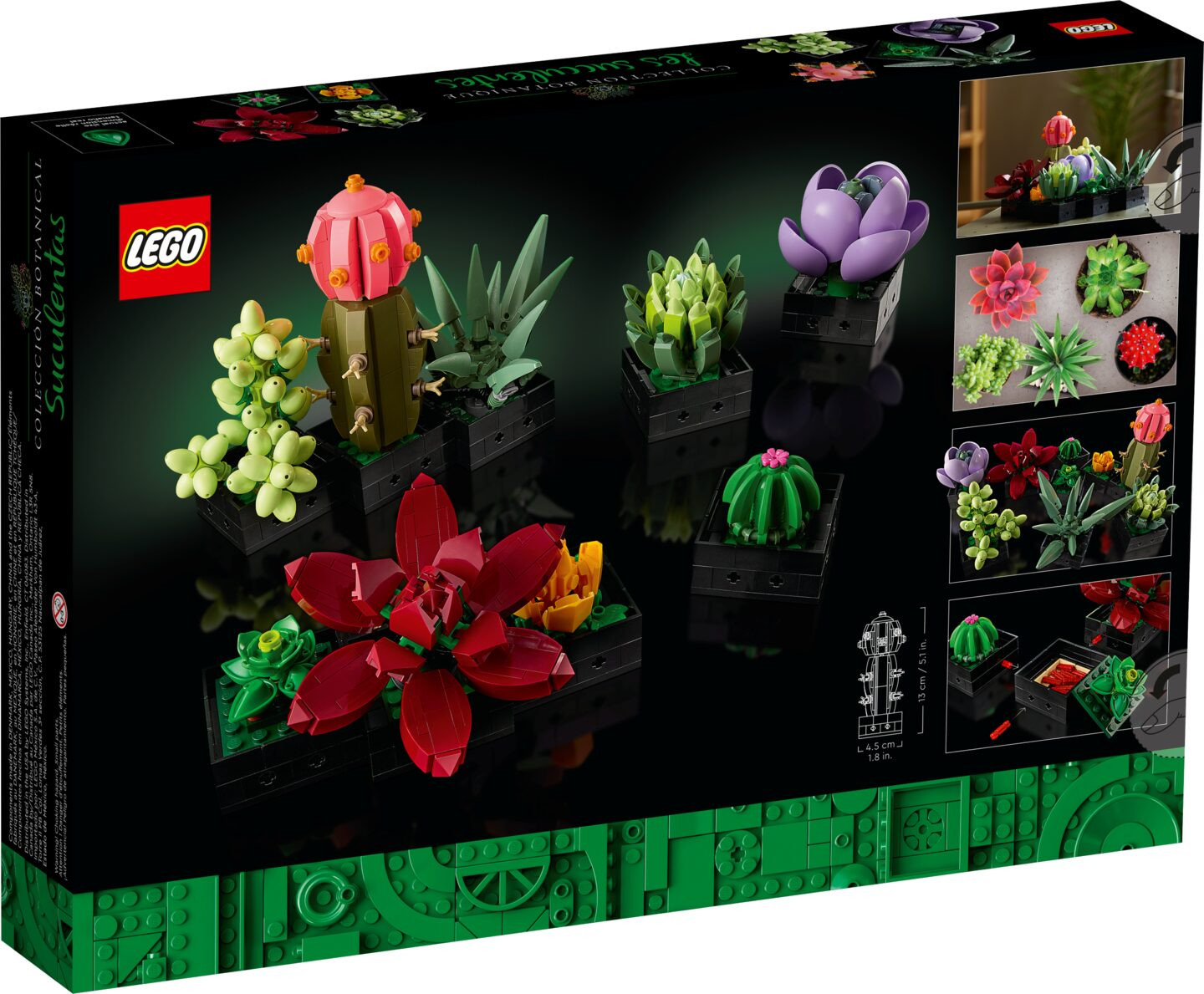 Vetplanten — Afbeelding 7