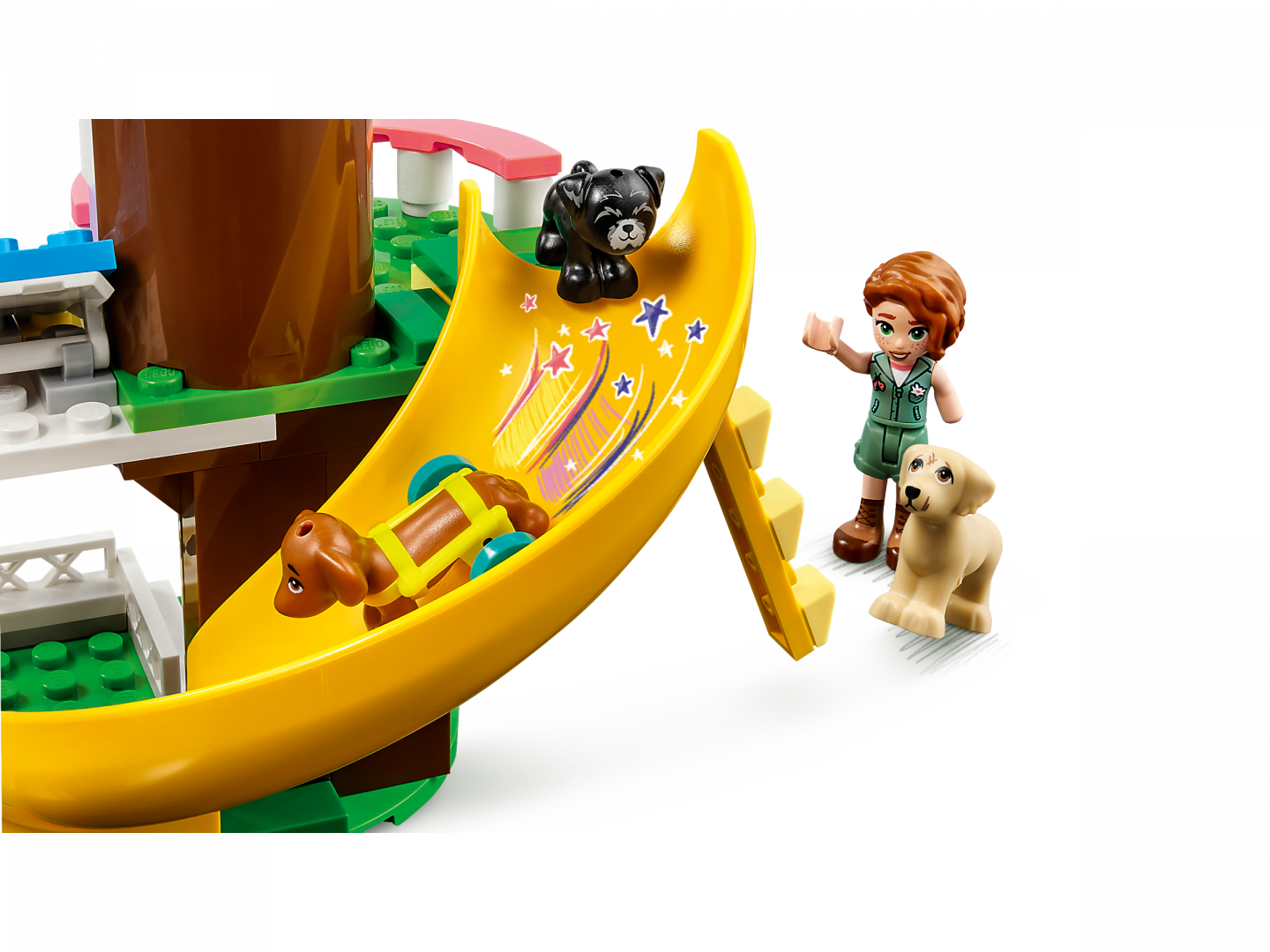 Honden reddingscentrum — Afbeelding 5