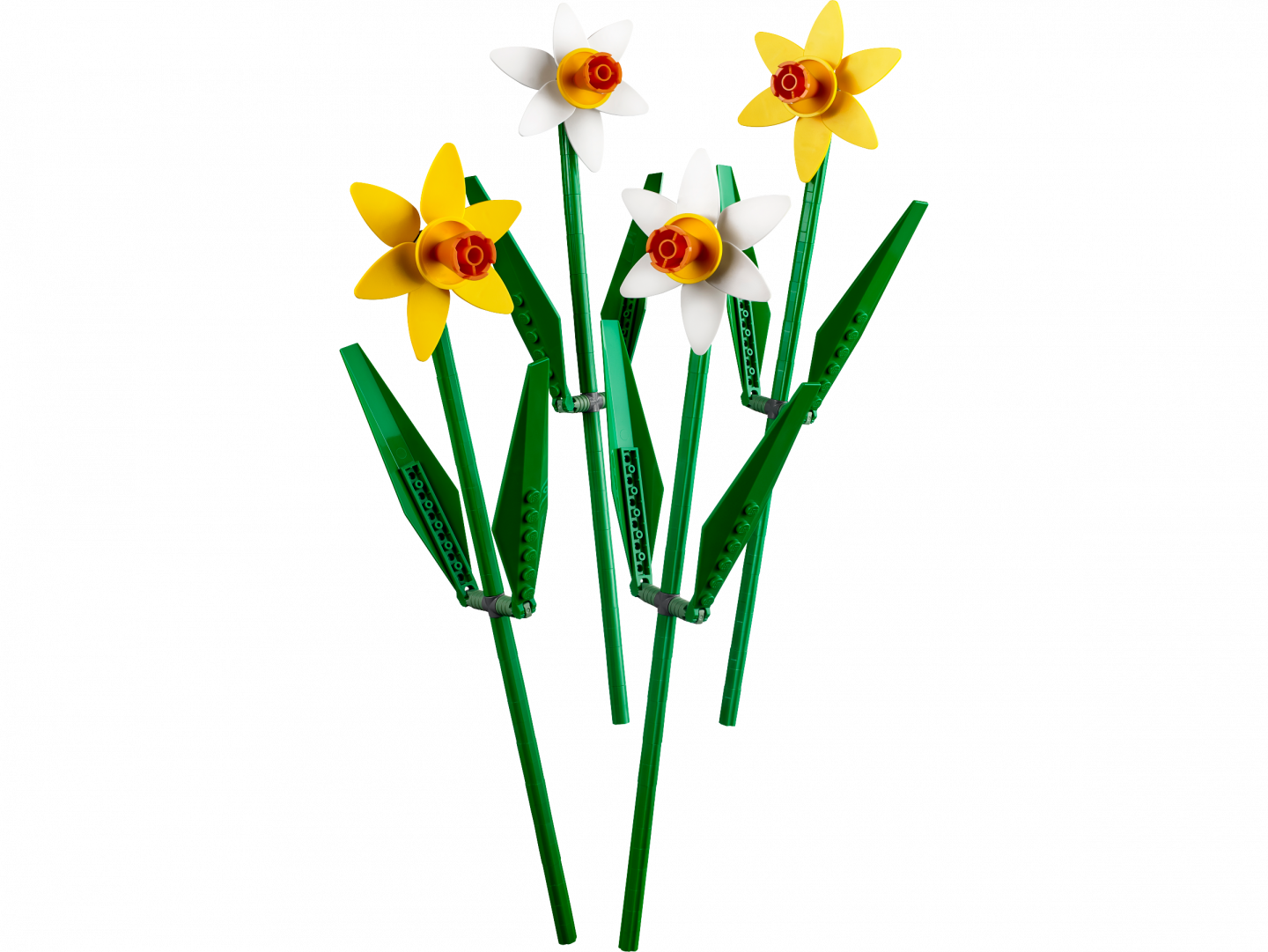 Narcissen