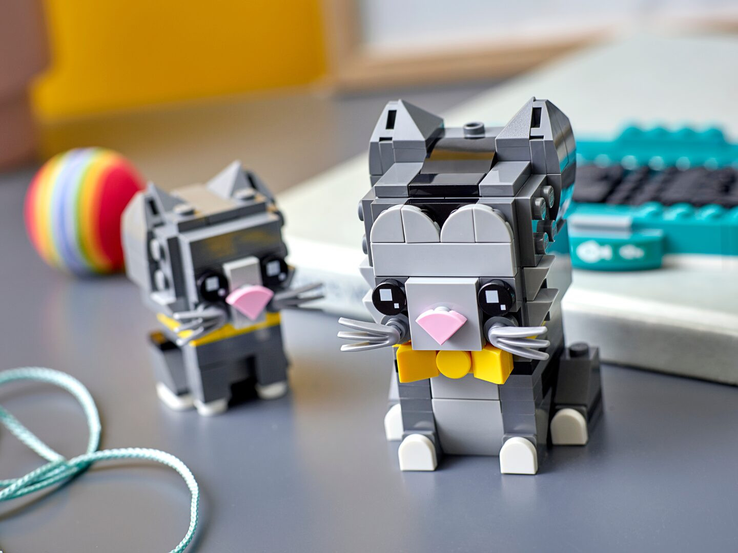 Kortharige katten — Afbeelding 6