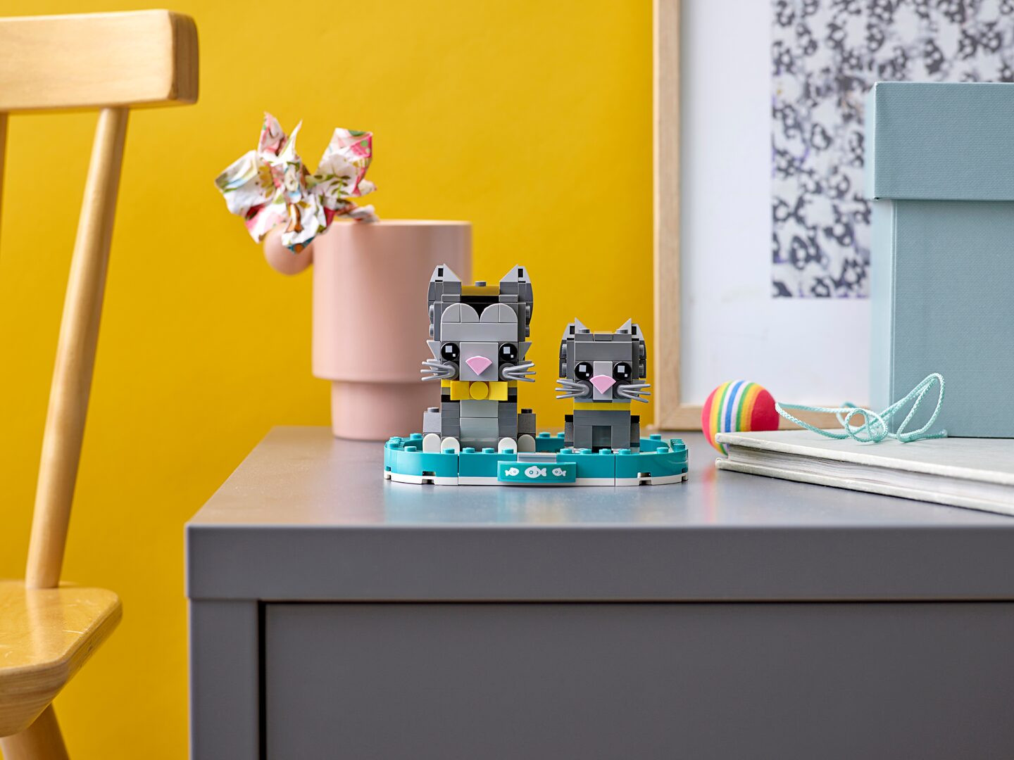 Kortharige katten — Afbeelding 4