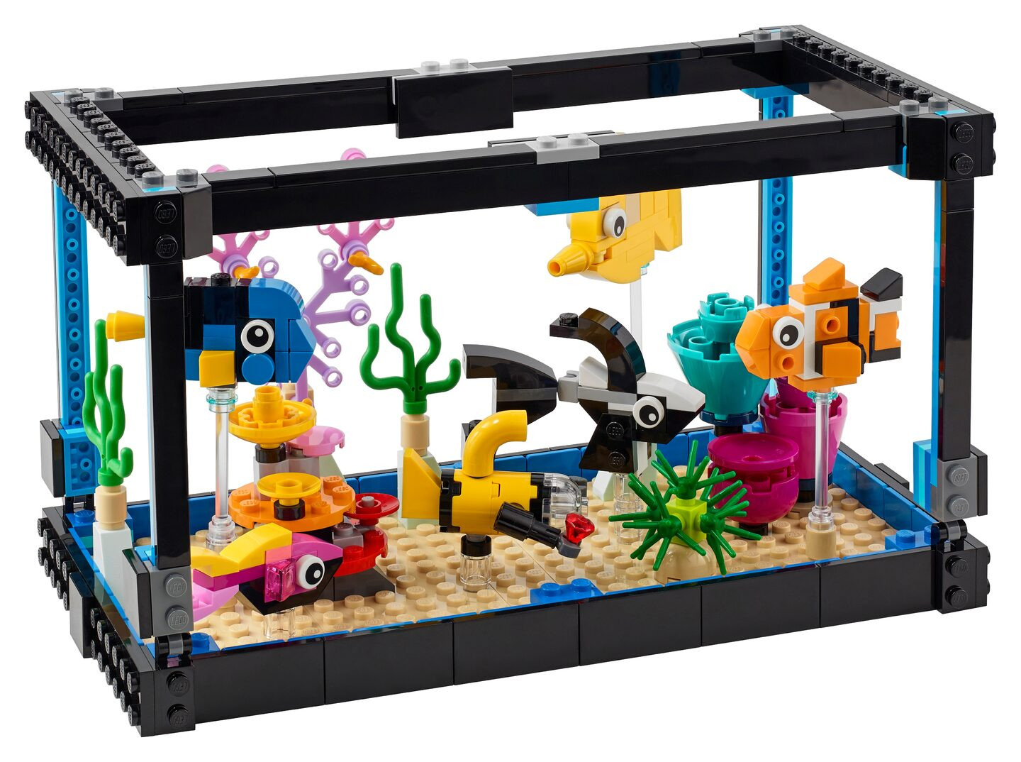 Aquarium — Afbeelding 1