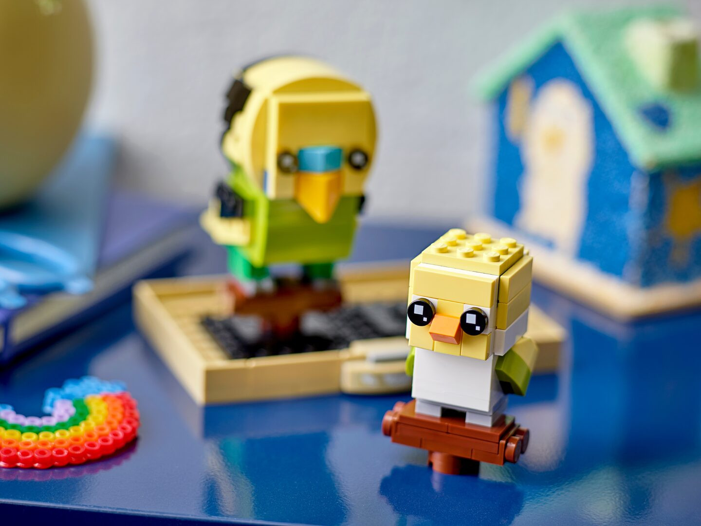 Parkiet — Afbeelding 5