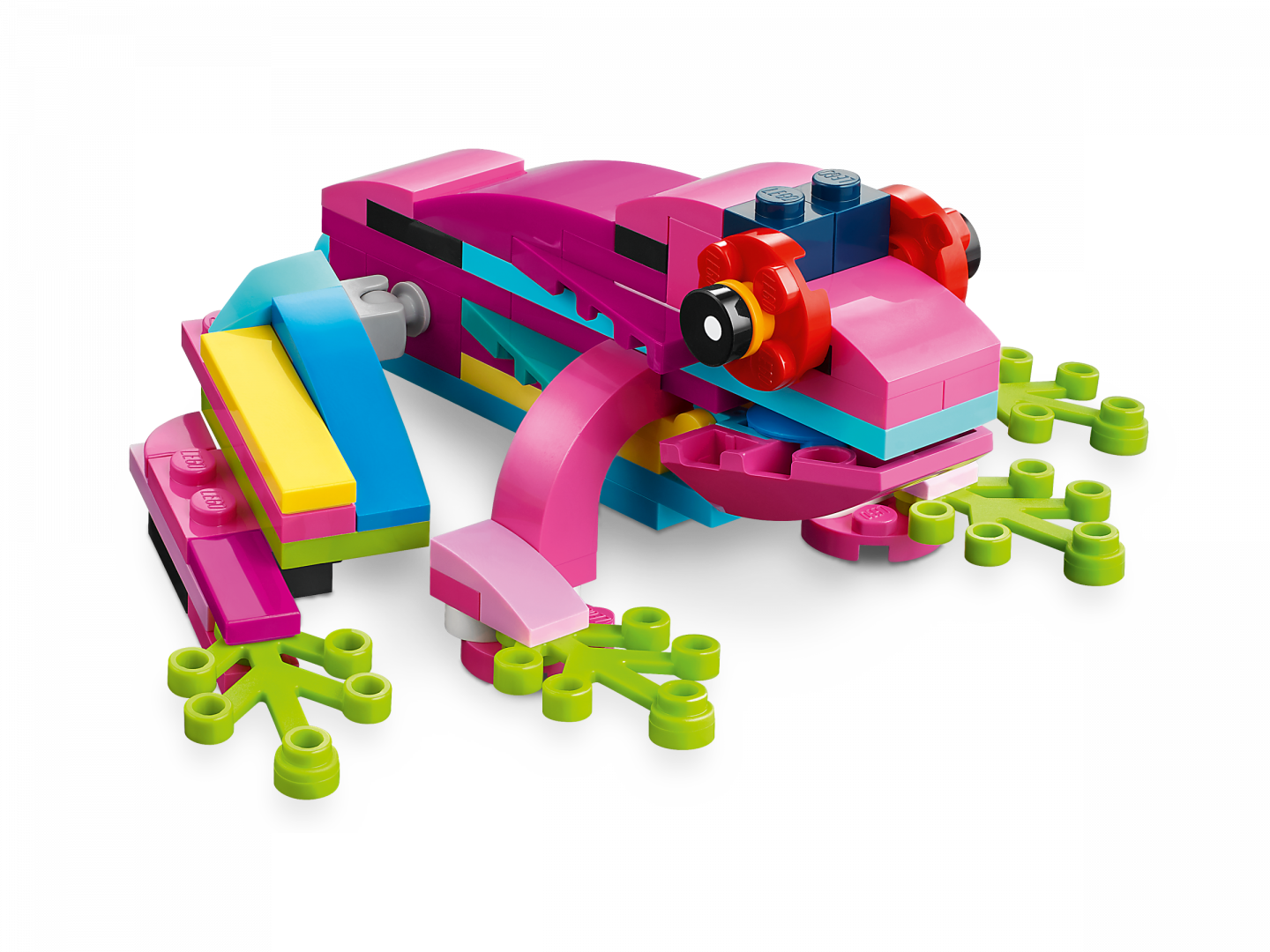 Exotische roze papegaai — Afbeelding 4