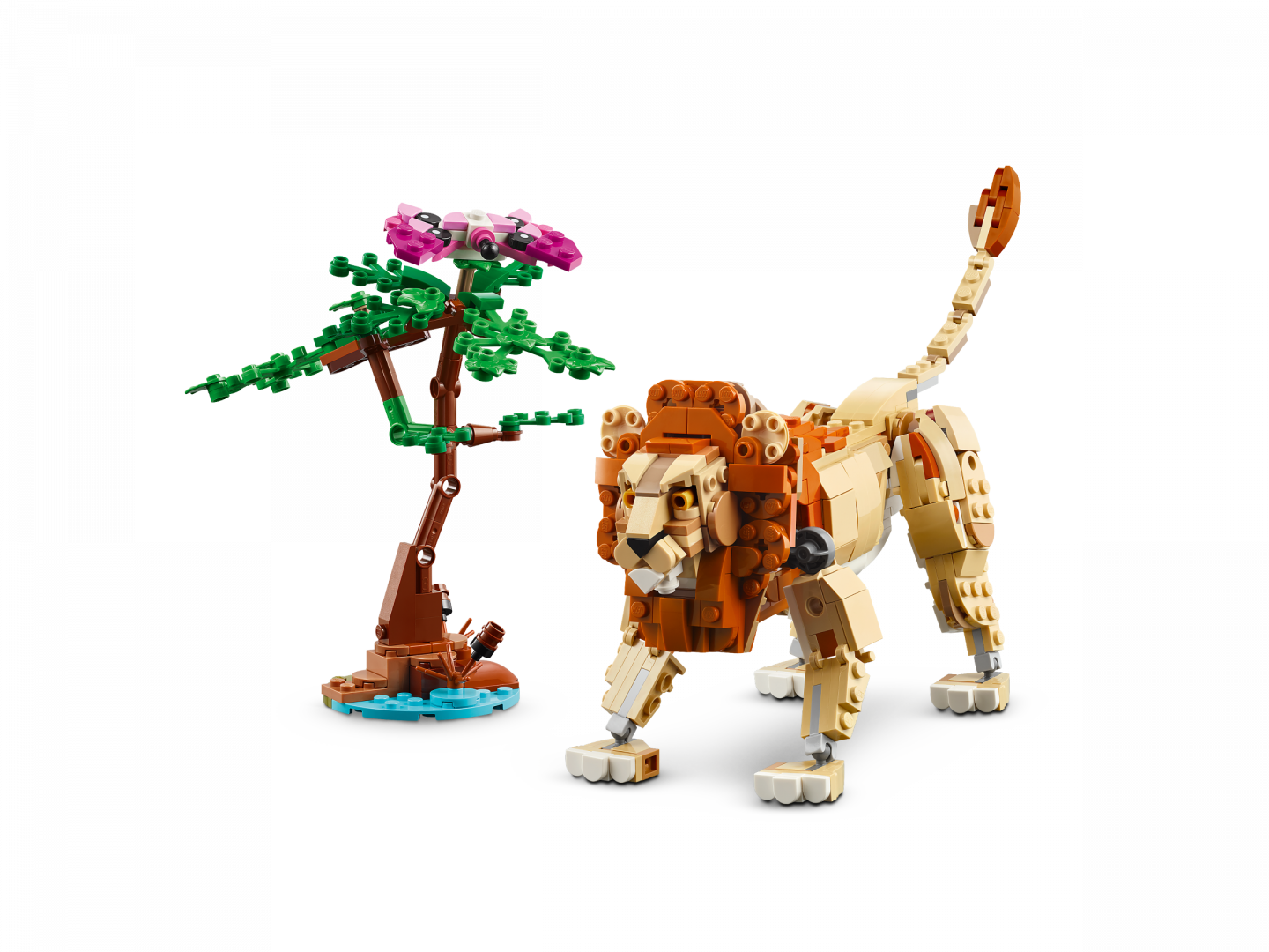 Safaridieren — Afbeelding 4