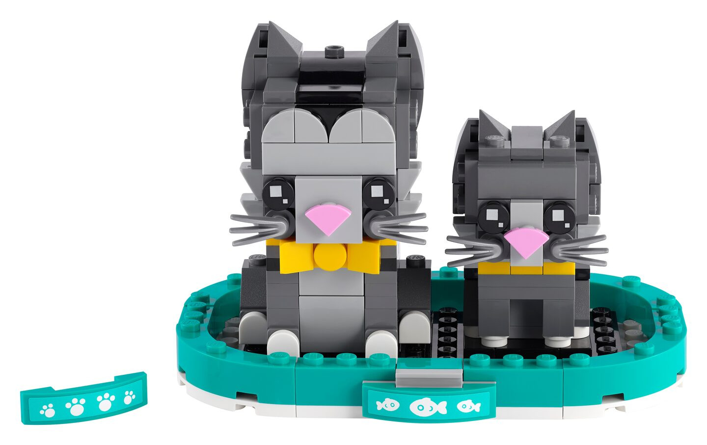 Kortharige katten — Afbeelding 1