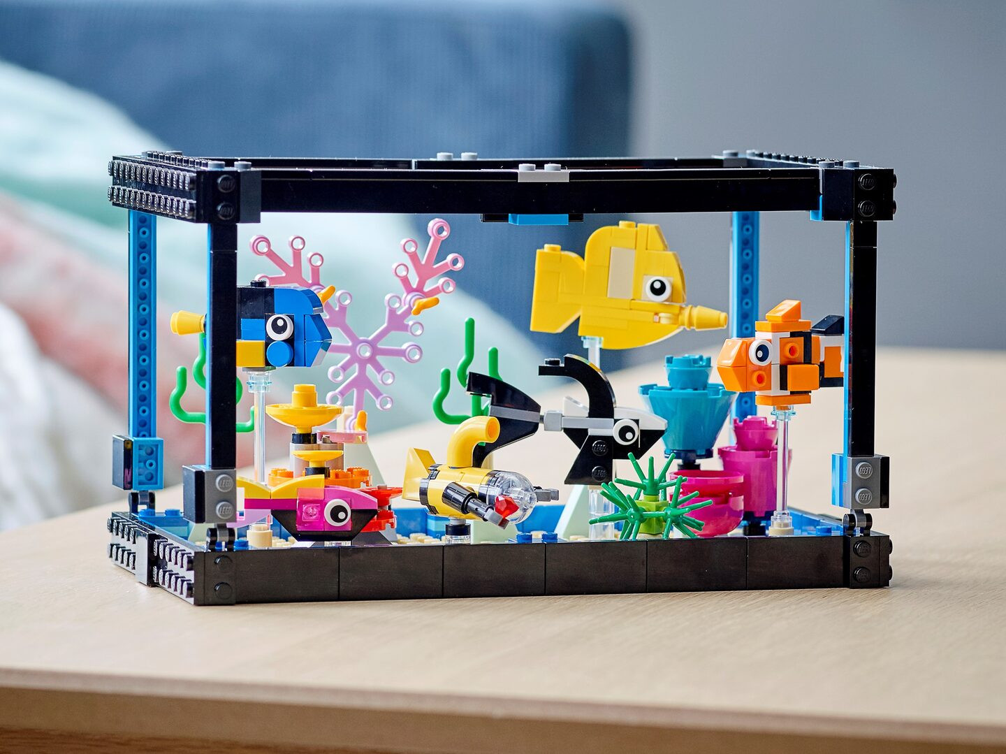 Aquarium — Afbeelding 12