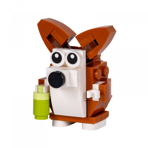Bureauhuisdieren - Corgi