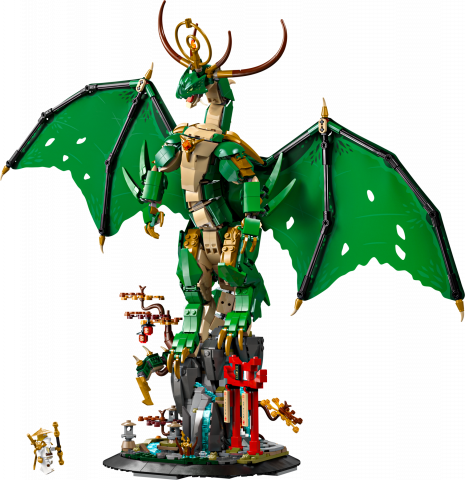 De drakenbewaker