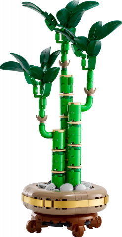 Bamboe