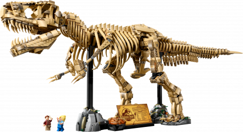 Dinosaurusfossielen: Tyrannosaurus rex